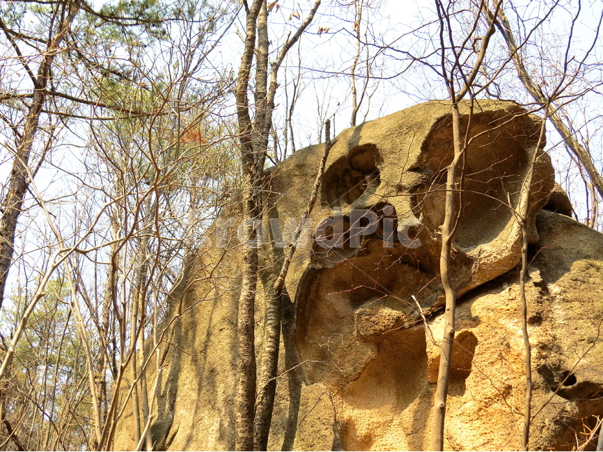 돌,바위,풍경,자연,나무,자연,풍경,nature,landscape