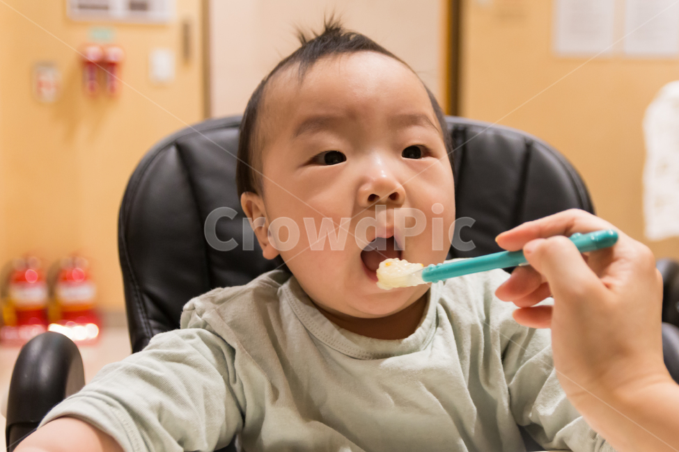 아기,이유식,육아,남자아이,맘마,어린이,아이,밥,식사,남자,영양,아기이유식,귀여운,사랑스런,숟가락,아동,양육,통통한,천사같은,꼬마,영유아,유아,사람,인물,남자아기,1살,1살아기,성장,가족,수유실,육아휴게실,얼굴,표정,11개월,발달,사람,인물,인간,human,person,영유아,아기,애기,아이,infants,baby