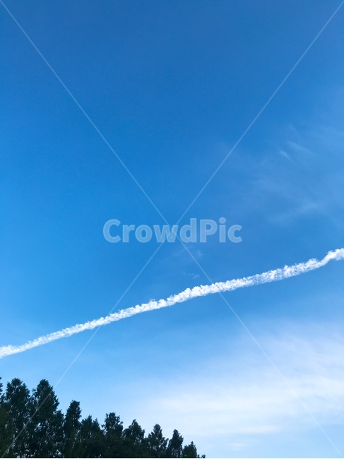 하늘,비행기,나무,sky,cloudless,airplane,tree,가을,fall,자연,풍경,nature,landscape