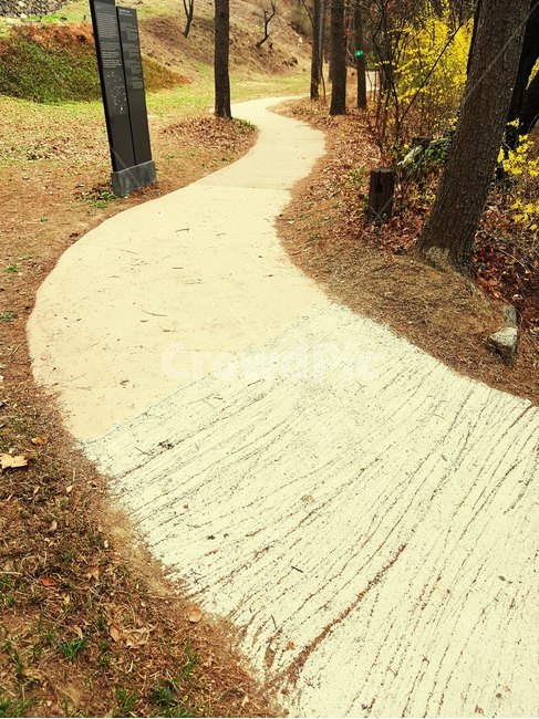 산책로,길,구부러진,꼬불꼬불한길,나무,자연,풍경,nature,landscape,path,통로