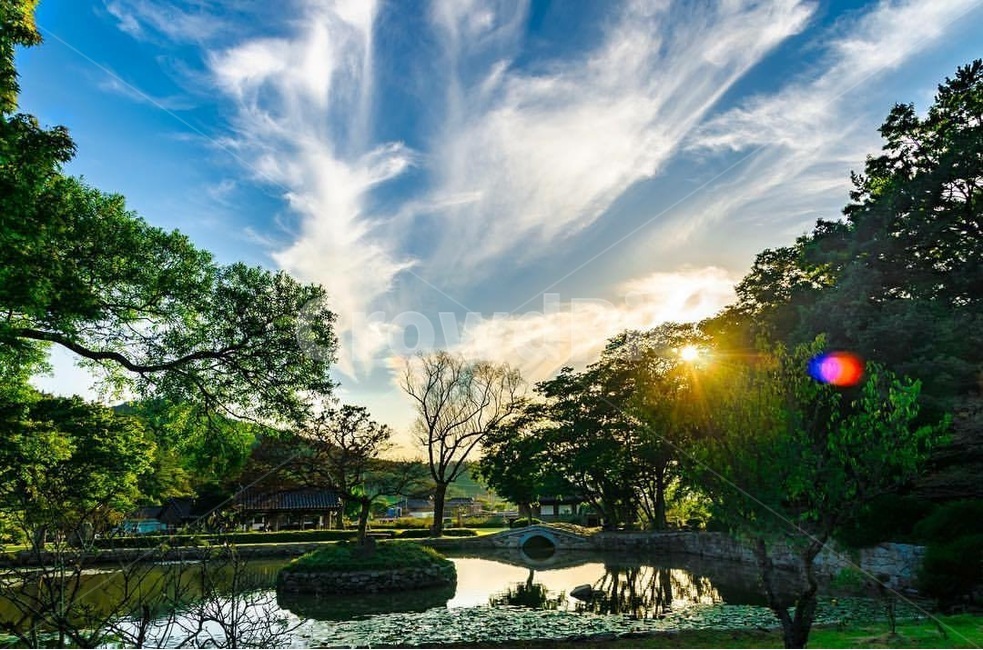 진도,운림산방,공원,나무,하늘,전라남도,자연,풍경,nature,landscape,한국자연풍경,한국자연경관,korea nature landscape,flare,플레어,light,빛,outdoors,옥외