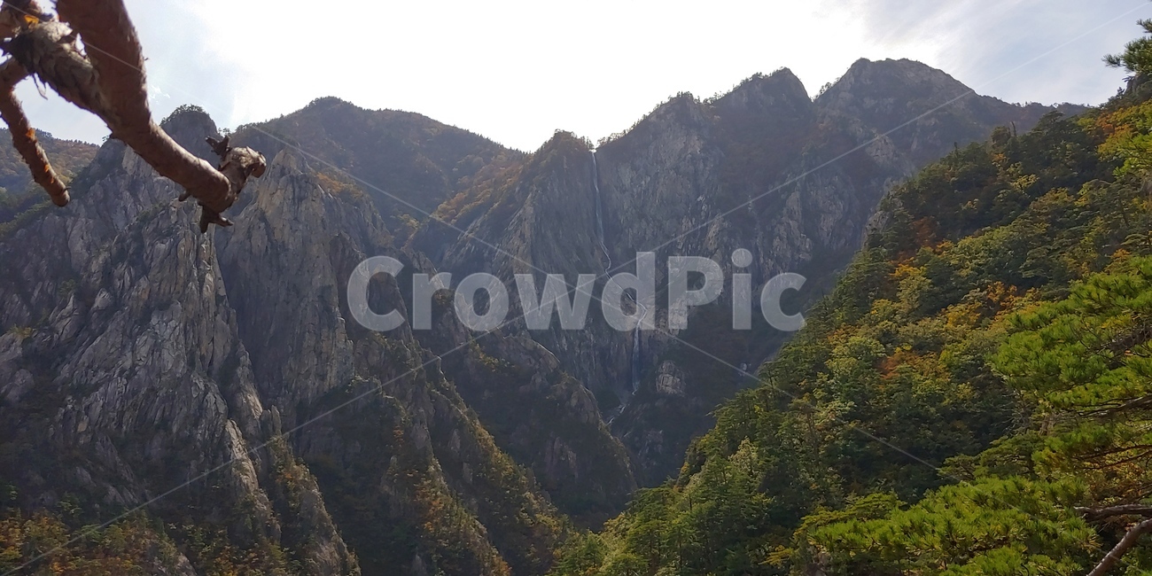 폭포,설악산,토왕성폭포,자연,산,경관,경치,나무,등산,비경,한국의산,풍경