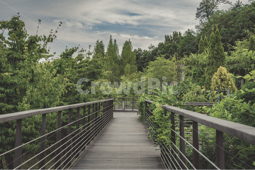서울,서서울공원,공원,자연,하늘,구름,다리,나무,풀,여름,산책로,풍경,숲,seoul,park,nature,sky,cloud,bridge,tree,wood,plants,summer,view,forest,여름,계절,summer,season,자연,풍경,nature,landscape,building,건물,boardwalk