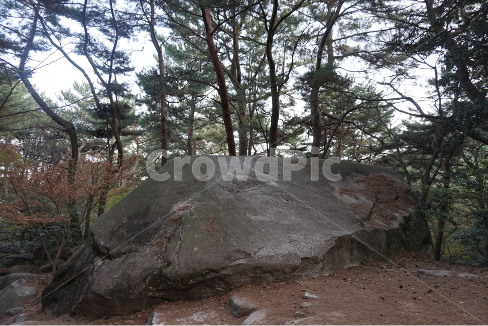 나무,숲,풀,수풀,공원,산,등산,우거진,우거진숲,식물,울창하다,울창함,울창,나무가지,소풍,길,숲길,숲속,돌길,돌담,등산길,등산로,바위,큰바위,자연,풍경,자연,풍경,nature,landscape,한국자연풍경,한국자연경관,korea nature landscape,slope,경사,slate,슬레이트,outdoors,옥외