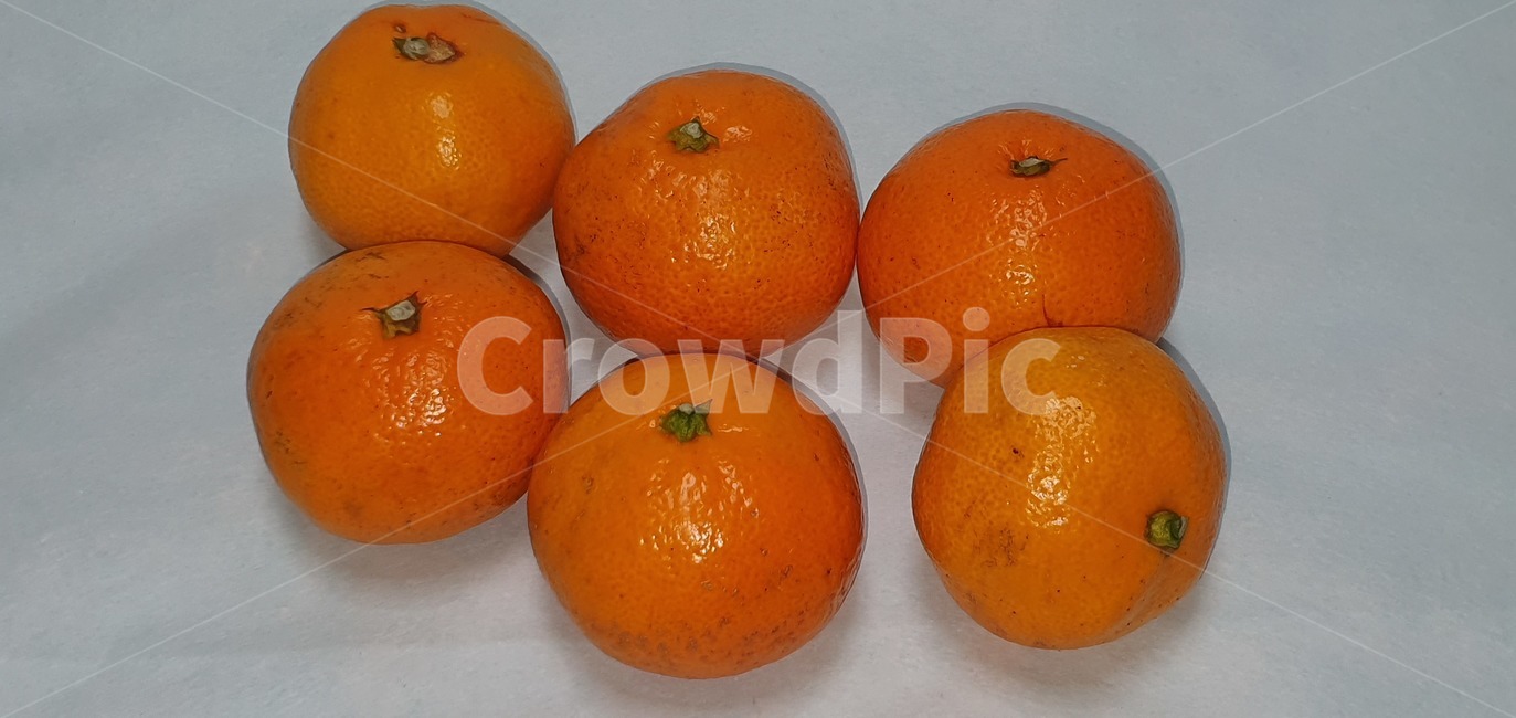 귤,감귤,제주귤,비타민,food,음식,citrusfruit,감귤류과일,plant,식물,fruit,과일
