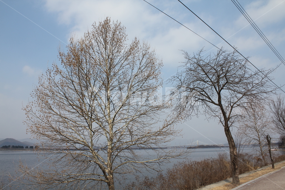 호수,물가,경치,풍경,자연,겨울,겨울호수,물,겨울,계절,winter,season,자연,풍경,nature,landscape,식물,plants,나무,trees,wood,tree,plant