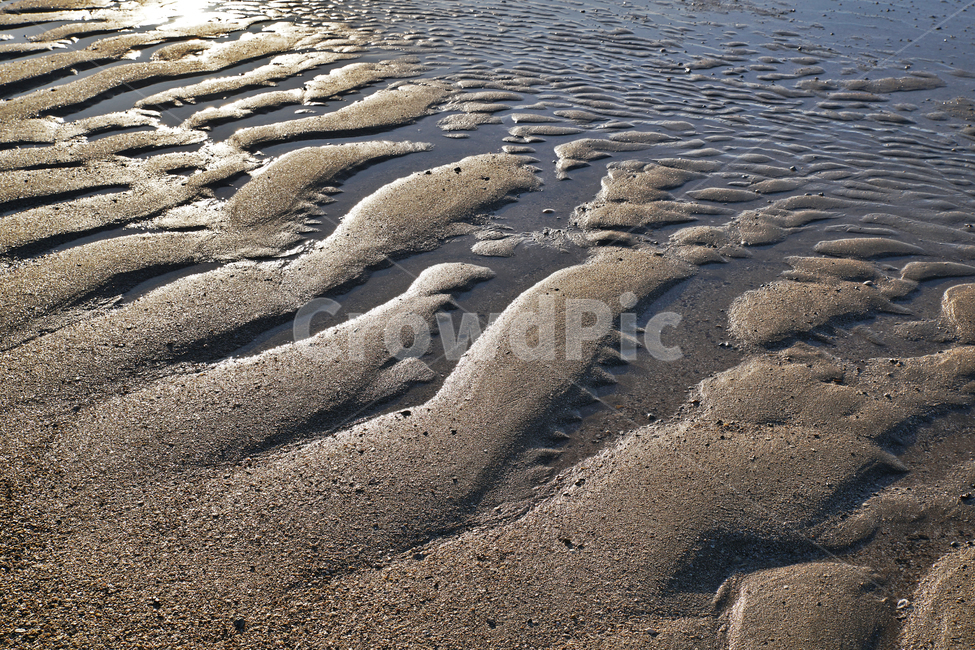 선재도,모래톱,서해,옹진군,인천,바다,갯벌,썰물,바닷길,해변,바다,beach,sea