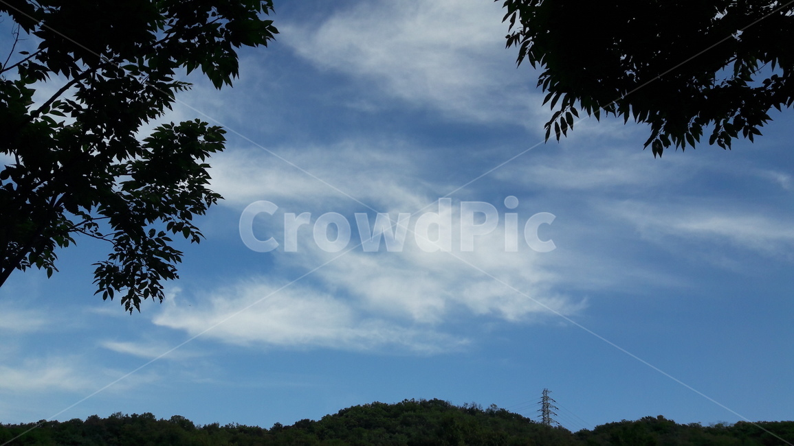나무,식물,하늘,산,구름,plant,tree