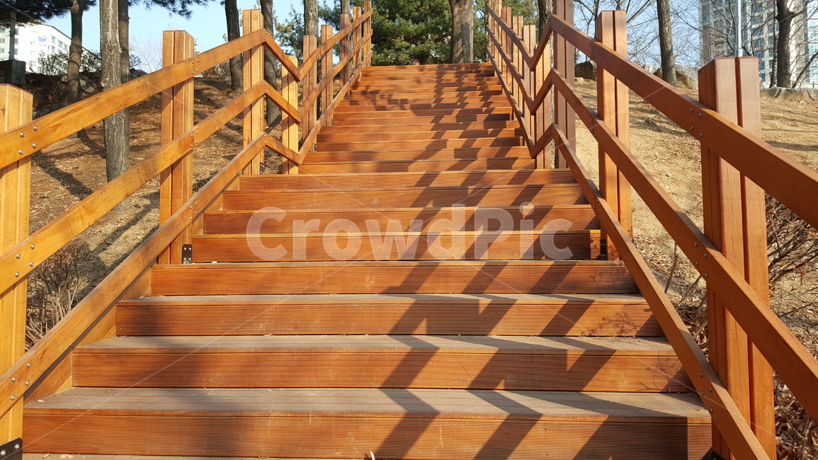 계단,나무,식물,오르다,겨울,쓸쓸함,사계절,한국,그림자,낮,산책,운동,공원,stairs,tree,plants,rise,winter,desolate,fourseasons,korea,shadow,day,walking,exercise,park