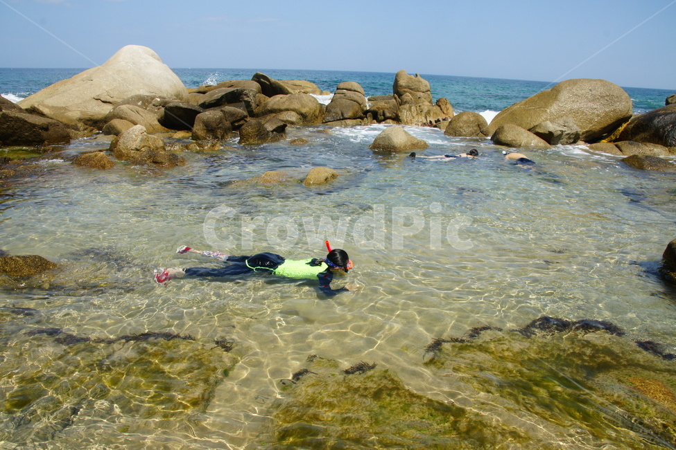 바다,여름,스노쿨링,스노클링,휴가,스노클,여름,계절,summer,season,water,물,diving,다이빙,diver,잠수부,sport,스포츠,sports,snorkeling