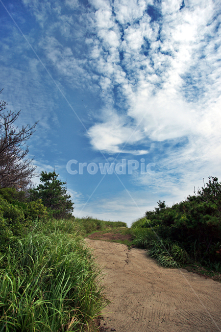 마라도,제주,서귀포시,대정읍,푸른하늘,수풀,흰구름,자연,풍경,nature,landscape,dirt road,흙길,gravel,자갈,road,도로,ground,바닥