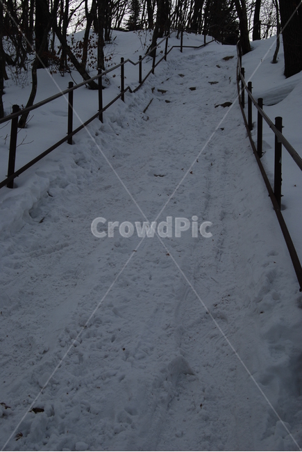 겨울,산,설경,등산로,나무,겨울,계절,winter,season,자연,풍경,nature,landscape
