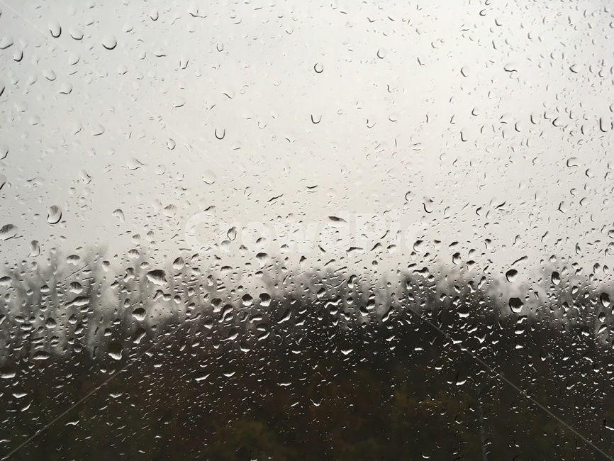 비,유리창,빗방울,감성,빗물,창밖,차창,날씨,rain,rainy,window,비,비오는날,rain,rainy