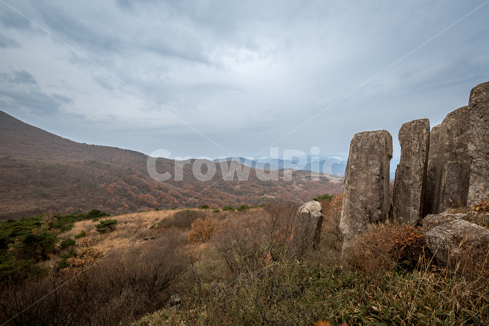무등산,나무,숲,산길,산,억세,가을,계절,fall,autumn,season,자연,풍경,nature,landscape,한국자연풍경,한국자연경관,korea nature landscape,outdoors,옥외