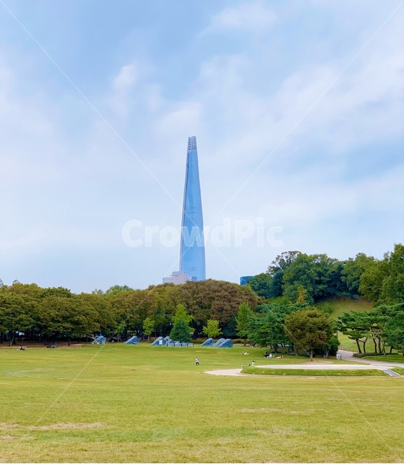 식물,잔디,공원,올림픽공원,롯데타워,서울,seoul,park,tower,하늘,sky