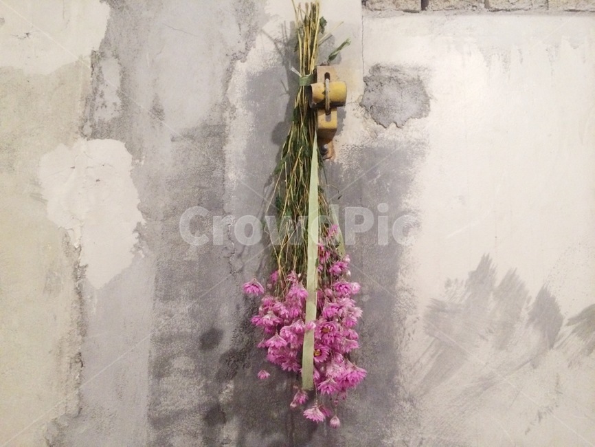 봄,꽃,말린꽃,드라이플라워,spring,flower,dryflower