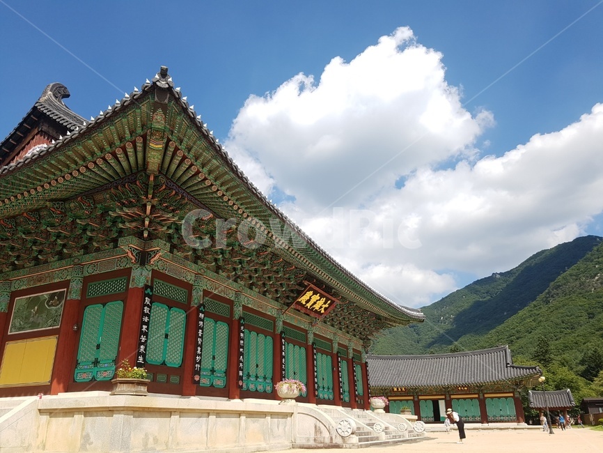 청도,절,운문사,예술성,건축,건축물,가을하늘,색감,기와