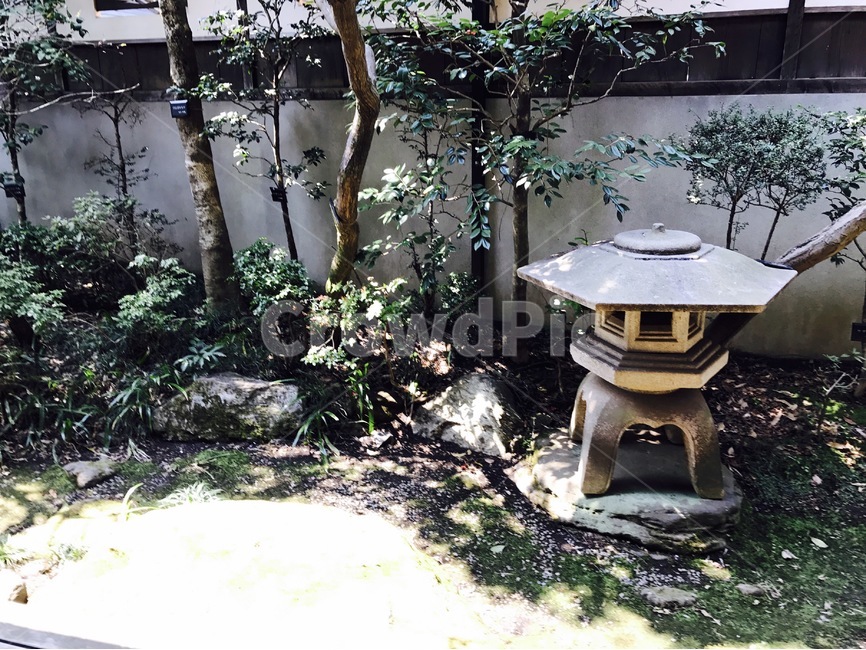 일본,japan,정원,garden,마당,yard