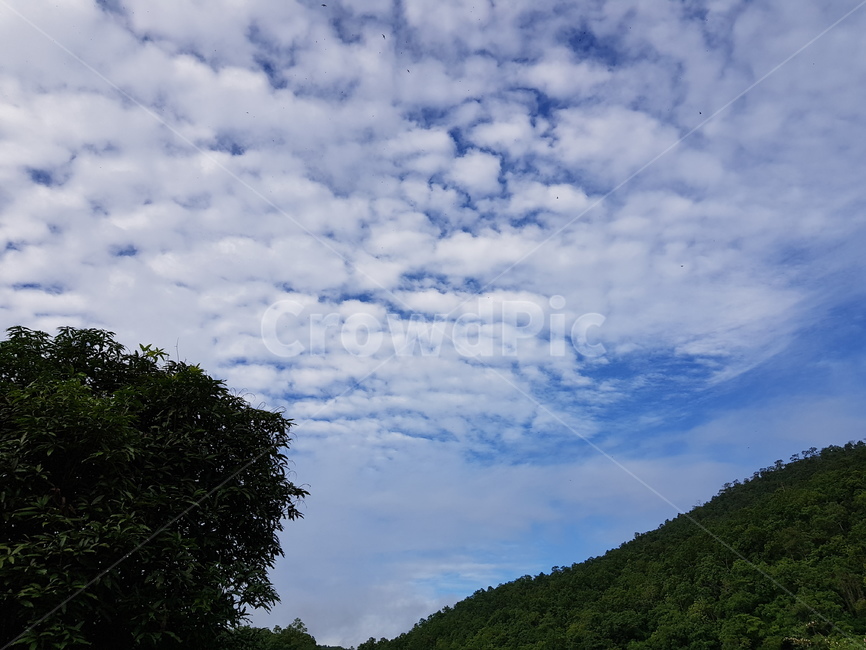 구름,양털구름,구름기둥,자연,배경화면,nature,cloud