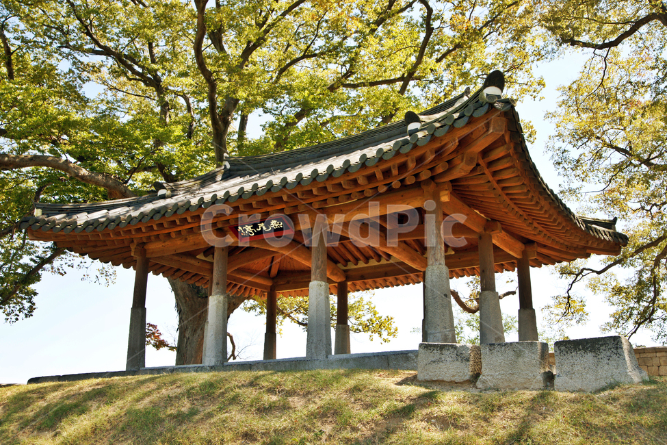 연미정,강화도,월곶리,정자,느티나무,팔작지붕,강화팔경,누정,민도리집,한국전통,한국문화,korean traditional,korean culture,건축물,건물외관,exterior,building,structure,architecture,construction