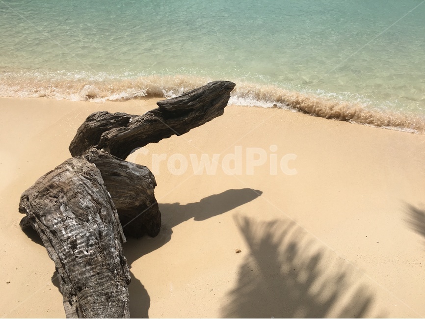 필리핀,코론,바다,파도,에메랄드빛,나무,그림자,물빛,고운모래,고요,한적,wave,tree,sand,해변,바다,beach,sea