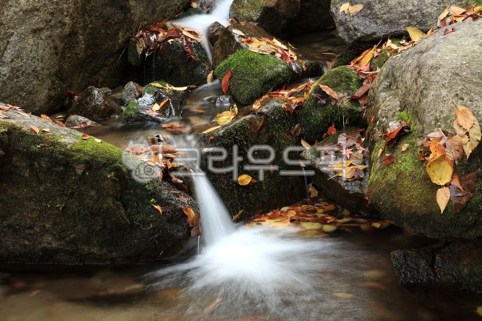 가을,모악산,계곡,바위,흐름,물줄기,낙엽