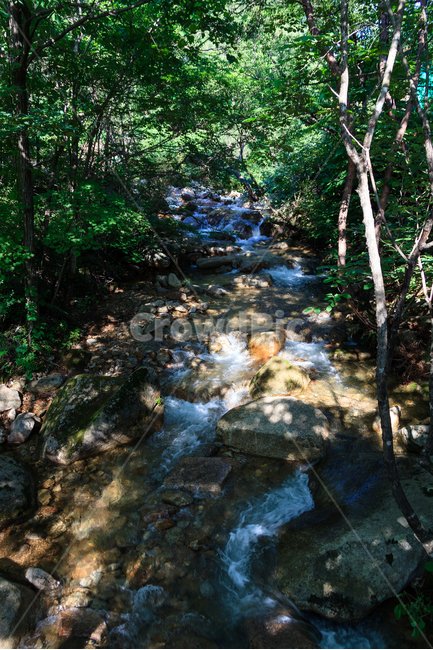 제천자드락길,계곡물,골짜기,숲,제천,자드락길,시원한,자연,풍경,nature,landscape,water,물,stream,흐름,creek,작은 만,outdoors,옥외