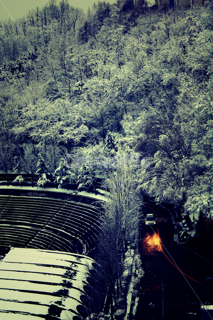 겨울,차,눈,차가움,숲,겨울,계절,winter,season,자연,풍경,nature,landscape