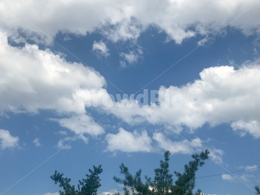 하늘,파란,푸른,파란하늘,맑은,맑은날,화창한,구름,blue,sky,뭉게구름,감성