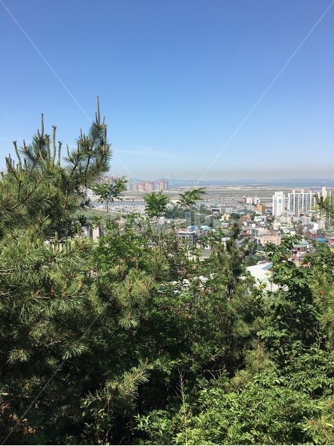 청량산,등산,정상,송도,경치,도시,풍경,city,landscape,tree,나무,plant,식물,outdoors,옥외,scenery,nature,자연