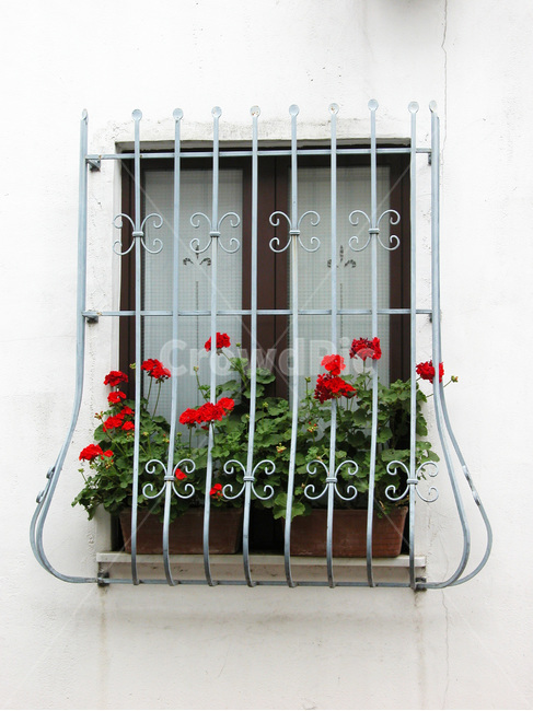 창,창문,화분,꽃,풍경,식물,자연,plants,nature,꽃,flower