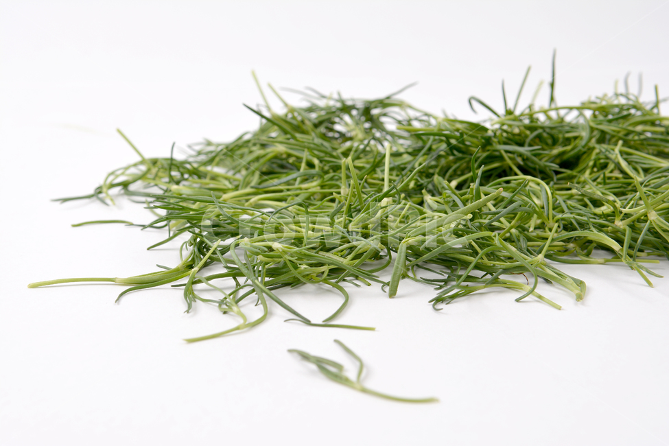 세발나물,나물,비닐하우스,귀농,농사,농장,세발나물무침,봄반찬,봄,세발나물전,새발나물,새발나물무침,갯나물,봄나물,나물무침,음식,식재료,요리,food,cook,meal,dishes,food reserves,채소,야채,vegetables