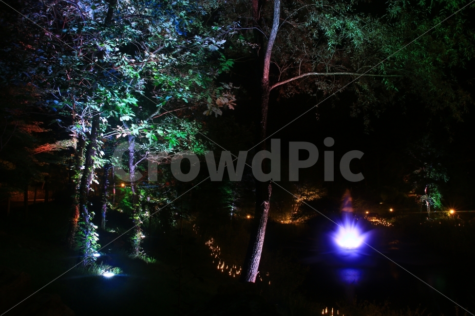 춘천,야경,제이드가든,빛의정원,야경사진,nightview,수목원,감성,운치,자연,풍경,nature,landscape,야경,밤,nightscape,night,flare,플레어,light,빛