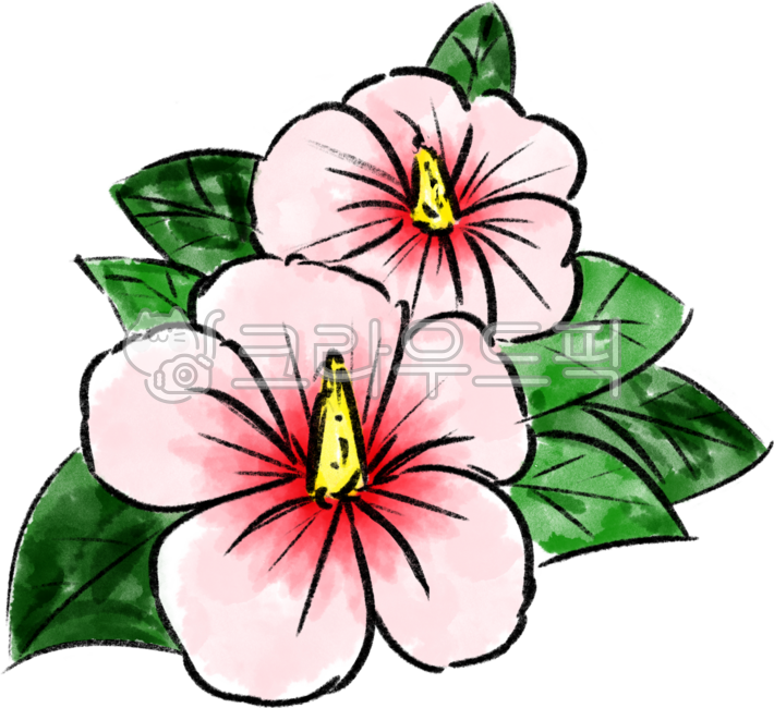 삼일절,태극기,독립,태극기그리기,무궁화,삼일절무궁화,삼일절태극기,태극,태극기무궁화,무궁화꽃,꽃,히비스커스,국화,독립선언,국경일,대한독립만세,삼일운동,애국심,대한독립,대한민국