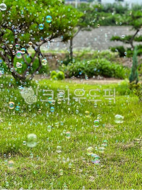 nature,bubble,park,lawn,soap bubbles