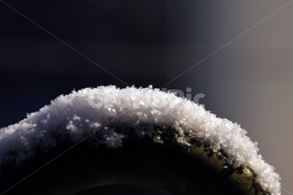 눈,함박눈,겨울,백색,화이트,나뭇잎,배경,추위,나무,풍경,포근,겨울,계절,winter,season