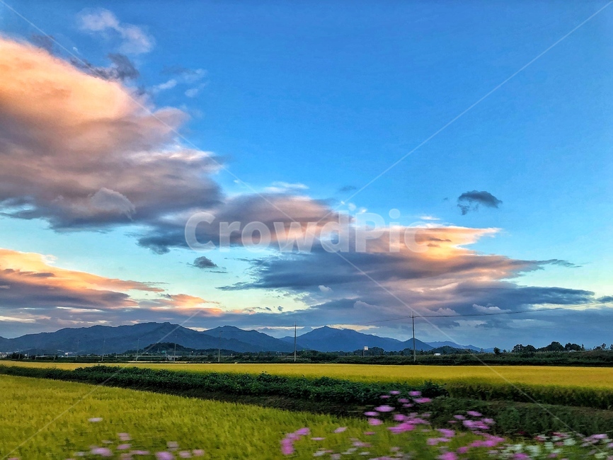 가을,가을들녘,풍경,하늘,구름,자연,풍경,nature,landscape,outdoors,옥외,field,들,grassland,목초지
