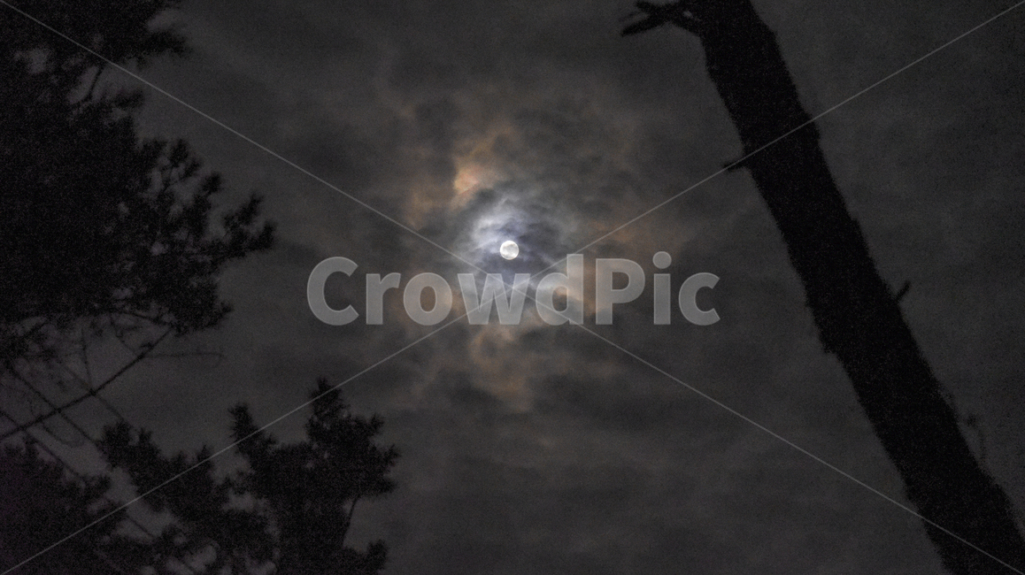하늘,밤하늘,달,보름달,구름낀하늘,sky,moon,silvermoon,forest,야경,밤,풍경,nightscape,night,landscape
