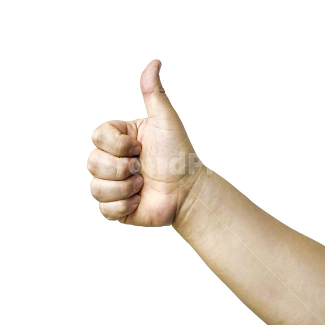 사람,human,인간,엄지손가락,thumbsup,finger,손가락,짱,캡,엄지척,사람손,사람손가락,person,신체일부,몸,body