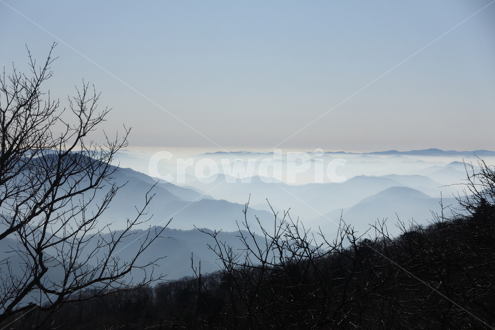 산,정상,발왕산,운무,안개,실루엣,몽환적인,nature,자연,outdoors,옥외,풍경,자연,풍경,nature,landscape