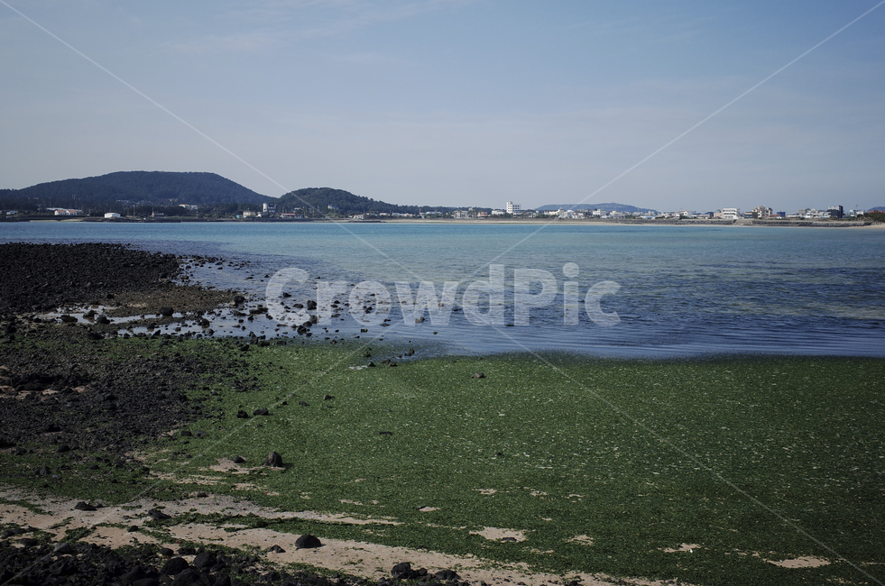 nature,자연,water,물,sea,바다,ocean,대양,outdoors,옥외,wave,물결,shoreline,해안선,sky,하늘,blue,파란,푸른,자연,풍경,nature,landscape
