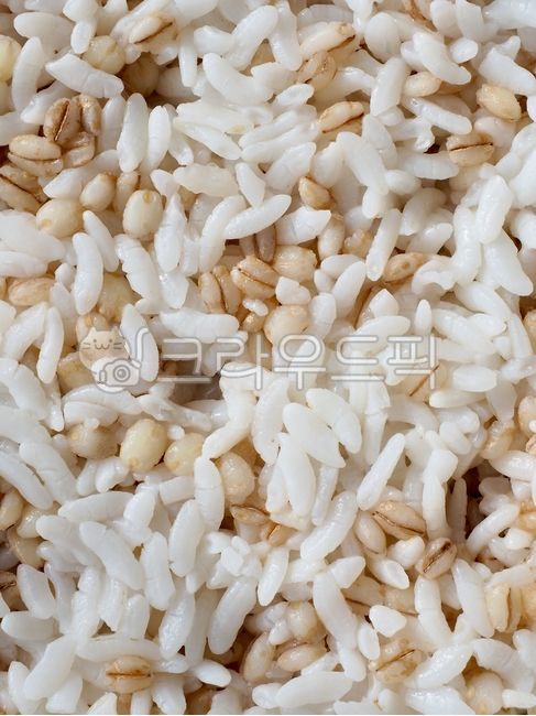 보리밥,밥,쌀,한국음식,음식,식사,barleyrice,rice,koreanfood,food,meal,곡식,탄수화물,grain,carbohydrate