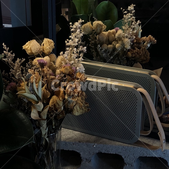 꽃,자연,꽃병,감성,분위기,식물,자연,plants,nature,꽃,flower,실내용화초,화분,화초,house plant,사물,물건,오브젝트,thing,object,matter