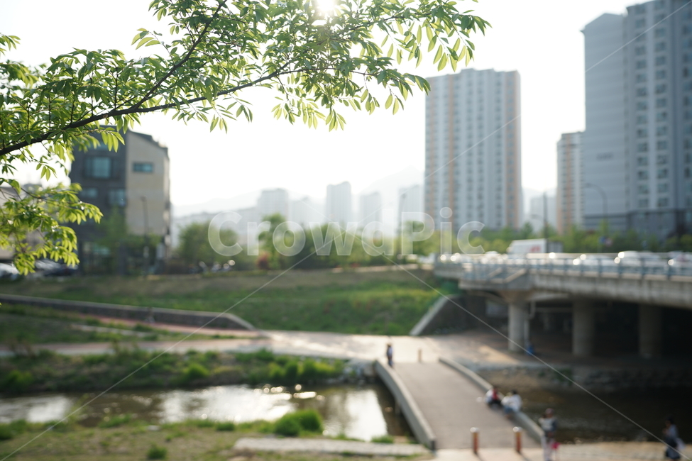 산책,나들이,봄,계절,자연,풍경사진,풍경,봄나들이,봄산책,공원,강변,길,여유,신록,녹색,그린,나무,도시,풍경,city,landscape,한국도시풍경,한국도시경관,korea cityscape,road,도로