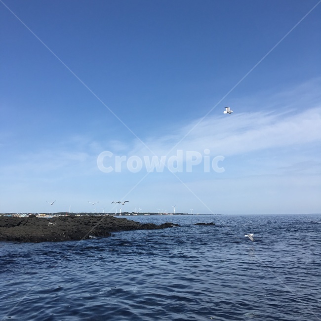 바다,하늘,갈매기,물결,자연,풍경,돌,평화,자연,풍경,nature,landscape,제주도,jeju,jeju island,leisure activities,레저 활동,adventure,모험,building,건물,architecture,건축물,tower,탑