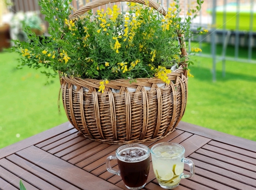 garden,flower,cup,icetea,teatime,summer,icecoffee,옥상,옥상정원,꽃,컵,아이스티,티타임,여유로움,한가로움,더워,시원해지는느낌,related,leisurely,낮,아이스커피,꽃,flower,음료수,drink,beverage