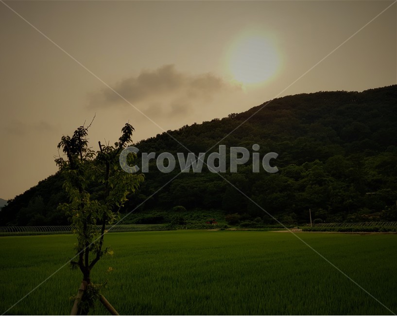 노을,풍경,자연,시골,해질녘,나주,저녁노을,sunset,자연,풍경,nature,landscape,outdoors,옥외,grassland,목초지,field,들,paddy field,패디 필드