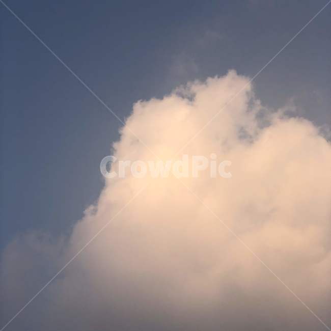 nature,자연,outdoors,옥외,weather