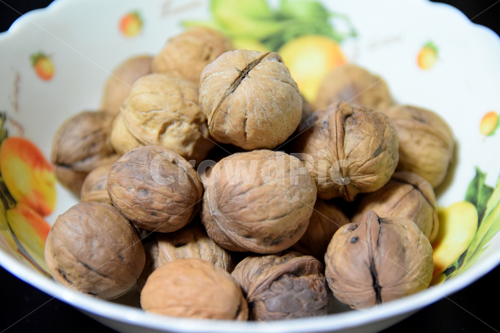 호두,호두나무열매,열매,가을,너트,fall,autumn,fruits,walnut,nut,가을,계절,fall,autumn,season,음식,식재료,요리,food,cook,meal,dishes,food reserves,plant,식물,vegetable,야채