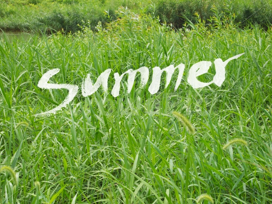 여름,들판,초록,연두,글자,카드,영어,summer,붓,캘리그라피,손글씨,계절,풀밭,풀,강아지풀,여름,계절,summer,season,예술,art,grass,잔디,plant,식물
